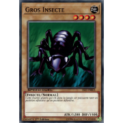 SS03-FRB03 Gros Insecte Commune