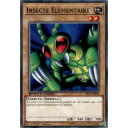 SS03-FRB04 Insecte Élémentaire Commune