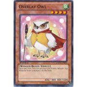 GAOV-EN003 Overlay Owl Commune