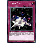 SS03-ENB26 Spider Egg Commune