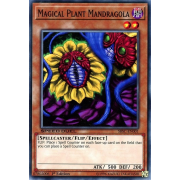 SBSC-EN001 Magical Plant Mandragola Commune