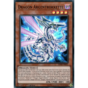 SDRR-FR001 Dragon Argentrokkette Super Rare