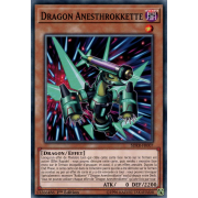 SDRR-FR007 Dragon Anesthrokkette Commune