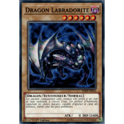 SDRR-FR016 Dragon Labradorite Commune