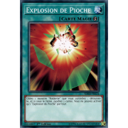 SDRR-FR024 Explosion de Pioche Commune