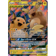 SL11_54/236 Raichu et Raichu d'Alola GX Ultra Rare