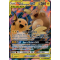 SL11_54/236 Raichu et Raichu d'Alola GX Ultra Rare