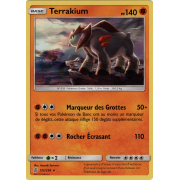 SL11_122/236 Terrakium Holo Rare