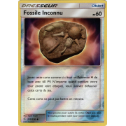 SL11_210/236 Fossile Inconnu Inverse