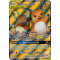 SL11_220/236 Raichu et Raichu d'Alola GX Full Art Ultra Rare