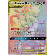 Portfolio SL11 - Soleil Et Lune 11 - Harmonie des Esprits - Mewtwo/Mew &  Darkrai/Noctali (14 Feuilles De 9 Cases 252 Cartes) Pokémon - UltraJeux