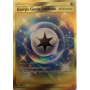 SL11_258/236 Énergie Garde Faiblesse Secret Rare