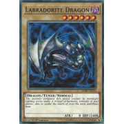 SDRR-EN016 Labradorite Dragon Commune