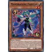 MP19-FR005 Mandragore Farstar Commune