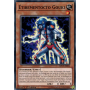 MP19-FR006 Étirementocto Gouki Commune