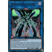 MP19-FR019 Trisbaena Topologique Ultra Rare