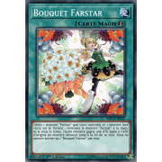 MP19-FR035 Bouquet Farstar Commune