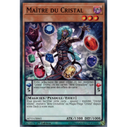 MP19-FR065 Maître du Cristal Commune