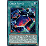 MP19-FR113 Cynet Rituel Commune