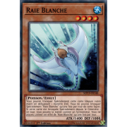 MP19-FR148 Raie Blanche Commune