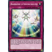 MP19-FR211 Barrière d'Invincibilité Commune