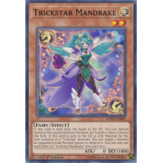 MP19-EN005 Trickstar Mandrake Commune