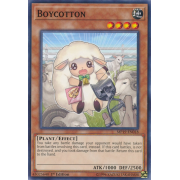 MP19-EN018 Boycotton Commune