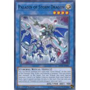 MP19-EN096 Paladin of Storm Dragon Commune