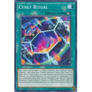 MP19-EN113 Cynet Ritual Commune