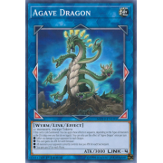 MP19-EN191 Agave Dragon Commune