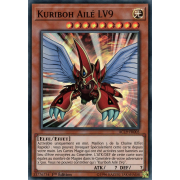 AC19-FR005 Kuriboh Ailé LV9 Super Rare