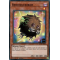 AC19-FR013 Renonkuriboh Super Rare