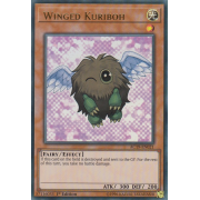 AC19-EN021 Winged Kuriboh Ultra Rare