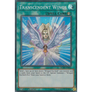 AC19-EN022 Transcendent Wings Super Rare