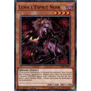 CHIM-FR027 Luna l'Esprit Noir Commune