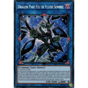 CHIM-FR037 Dragon Pare-Feu de Fluide Sombre Secret Rare