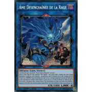 CHIM-FR043 Âme Désenchaînée de la Rage Secret Rare