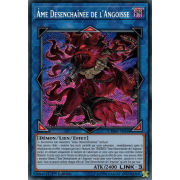 CHIM-FR044 Âme Désenchaînée de l'Angoisse Secret Rare