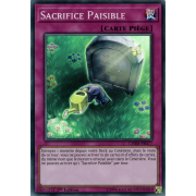 CHIM-FR077 Sacrifice Paisible Super Rare