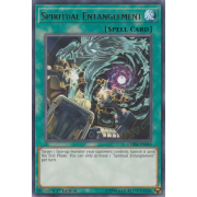 CHIM-EN065 Spiritual Entanglement Rare