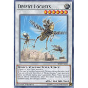 CHIM-EN082 Desert Locusts Commune