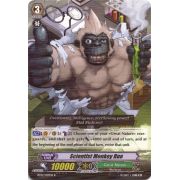 BT02/039EN Scientist Monkey Rue Rare (R)