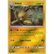 SL12_70/236 Voltali Inverse