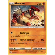 SL12_113/236 Groudon Rare