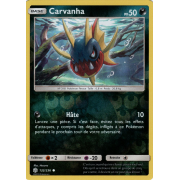 SL12_132/236 Carvanha Inverse