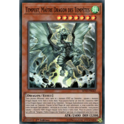 MYFI-FR045 Tempest, Maître Dragon des Tempêtes Super Rare