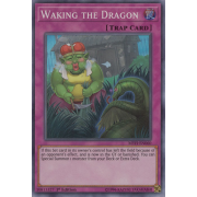 MYFI-EN060 Waking the Dragon Super Rare
