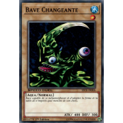 SBTK-FR006 Bave Changeante Commune