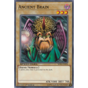 SBTK-EN004 Ancient Brain Commune