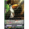 V-EB10/026EN Scale Toucan Rare (R)